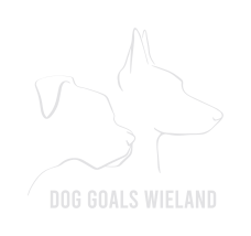 logo-hundetraining-dog-goals-wieland-in-bezirk-vöcklabruck-und-gmunden