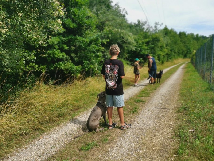 kinder-trainieren-mit-eigenem-hund-und-hundetrainer-im-bezirk-vöcklabruck