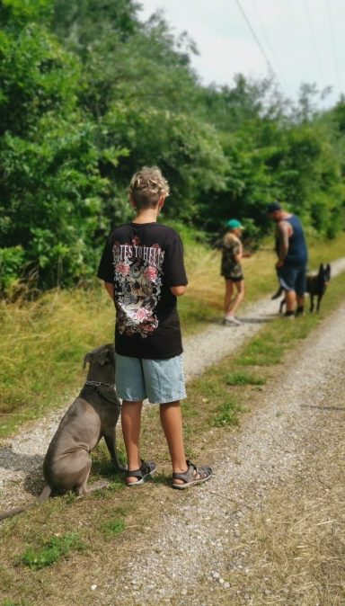 hundetraining-mit-kinder-mit-hundetrainer-von-hundeschule-vöcklabruck-aus-bezirk-vöcklabruck